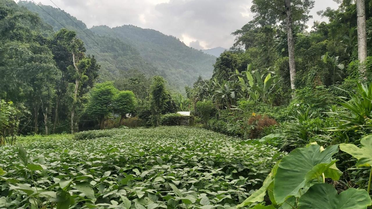 Eviana Homestay ดาร์จีลิง ภายนอก รูปภาพ