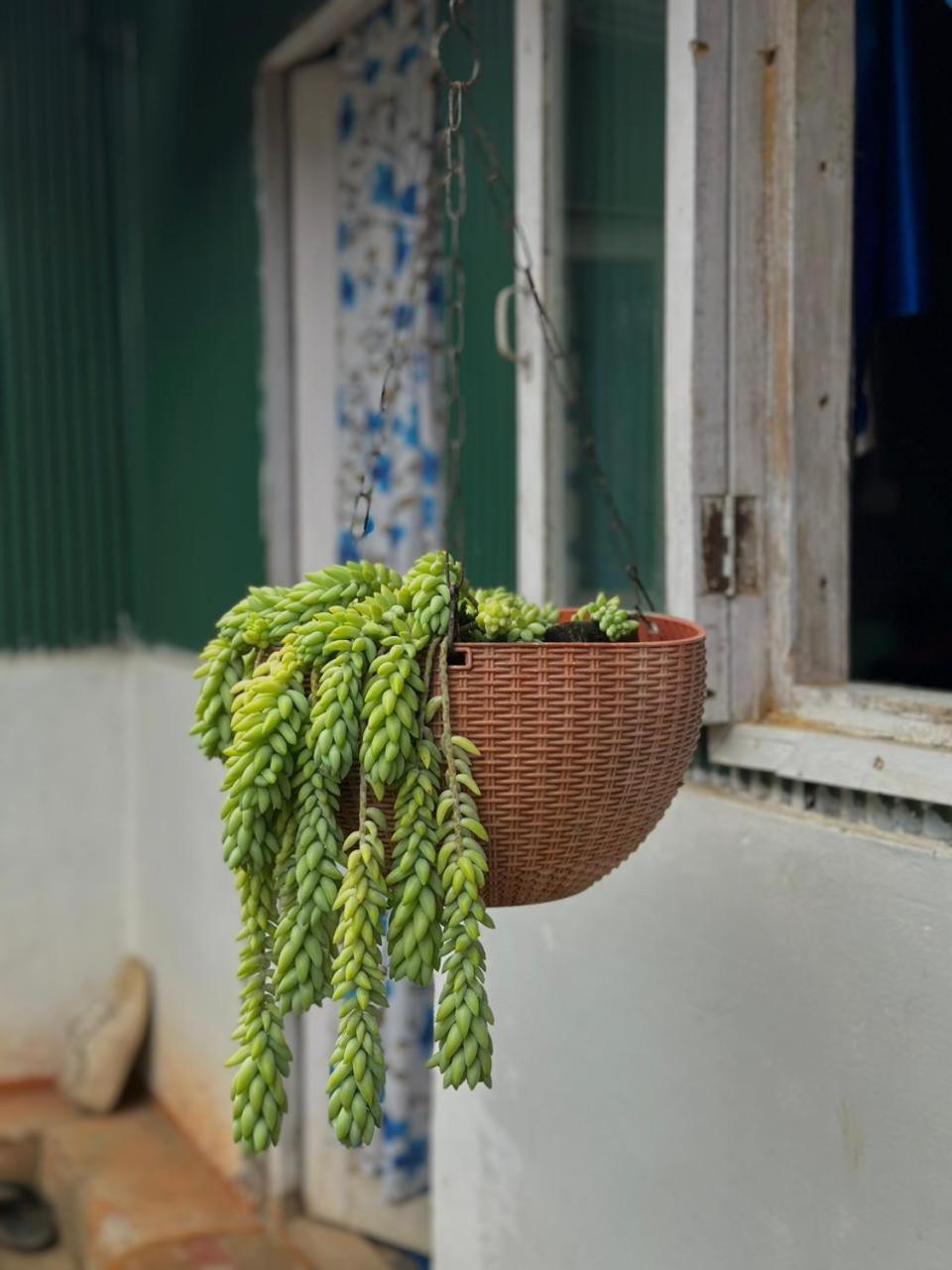 Eviana Homestay ดาร์จีลิง ภายนอก รูปภาพ